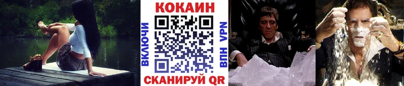 Кокаин FishScale  мега вход  Элиста 