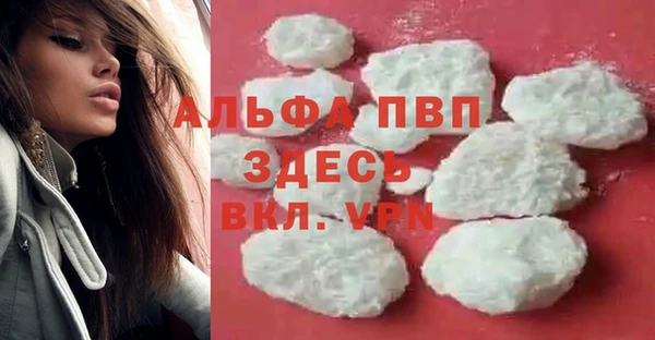 стафф Нефтекумск
