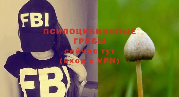 круглые Новодвинск