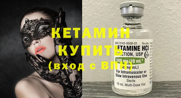 шишки Новозыбков