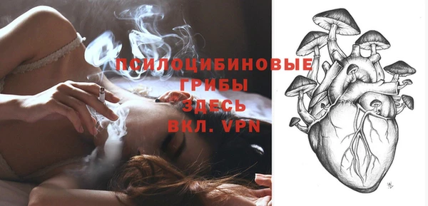 круглые Новодвинск