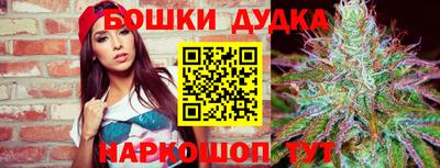 стаф Кулебаки