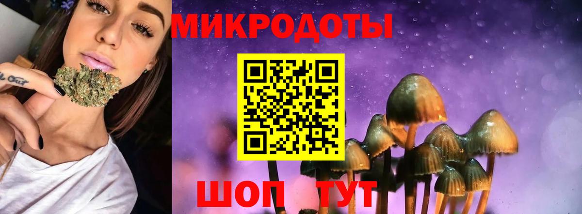Галлюциногенные грибы мухоморы Элиста