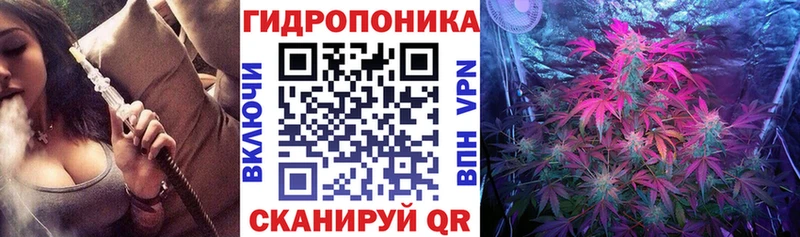 МЕГА ССЫЛКА  Элиста  Бошки Шишки семена 